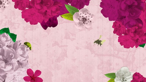 Blossom illustration including flowers and bee's